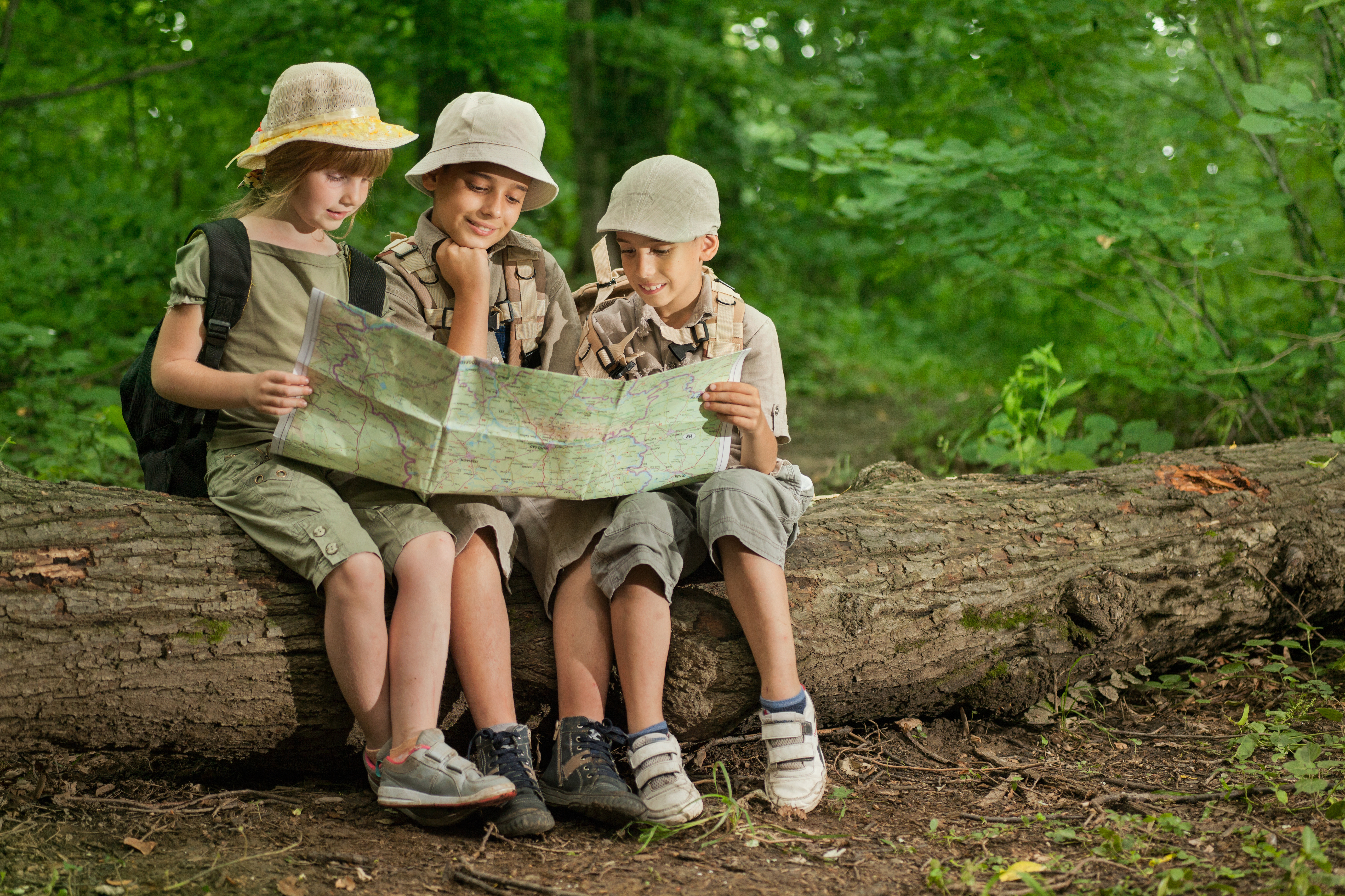 three kids sitting on a tree in the woods reading a map at summer camp