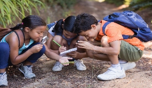 Top 6 summer camps for kids in Dallas Texas