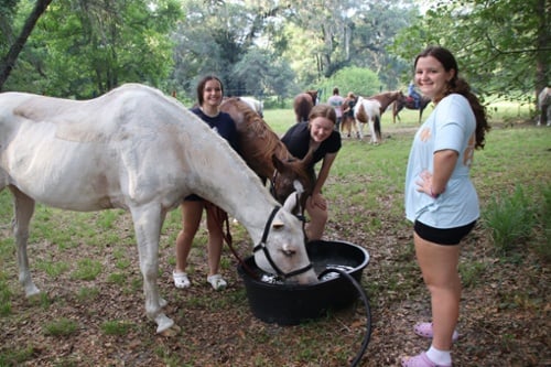 Best Horseback Riding Summer Camps in the USA